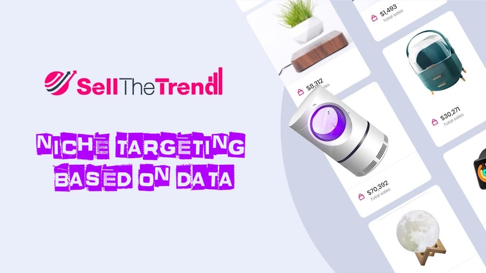 Profitable Niches for an Online Store 3 niche selection based on data