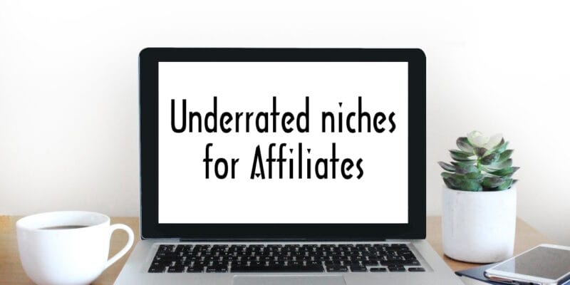 Underrated Niches for Affiliates 1 Underrated Niches in Affiliate Marketing: Top 10 High-Earning Ideas